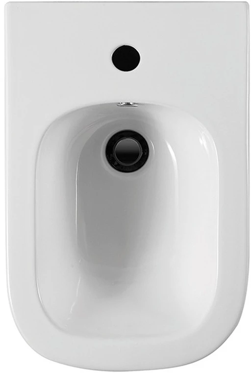 Биде подвесное Aquatek Лугано AQ1002-00 белый
