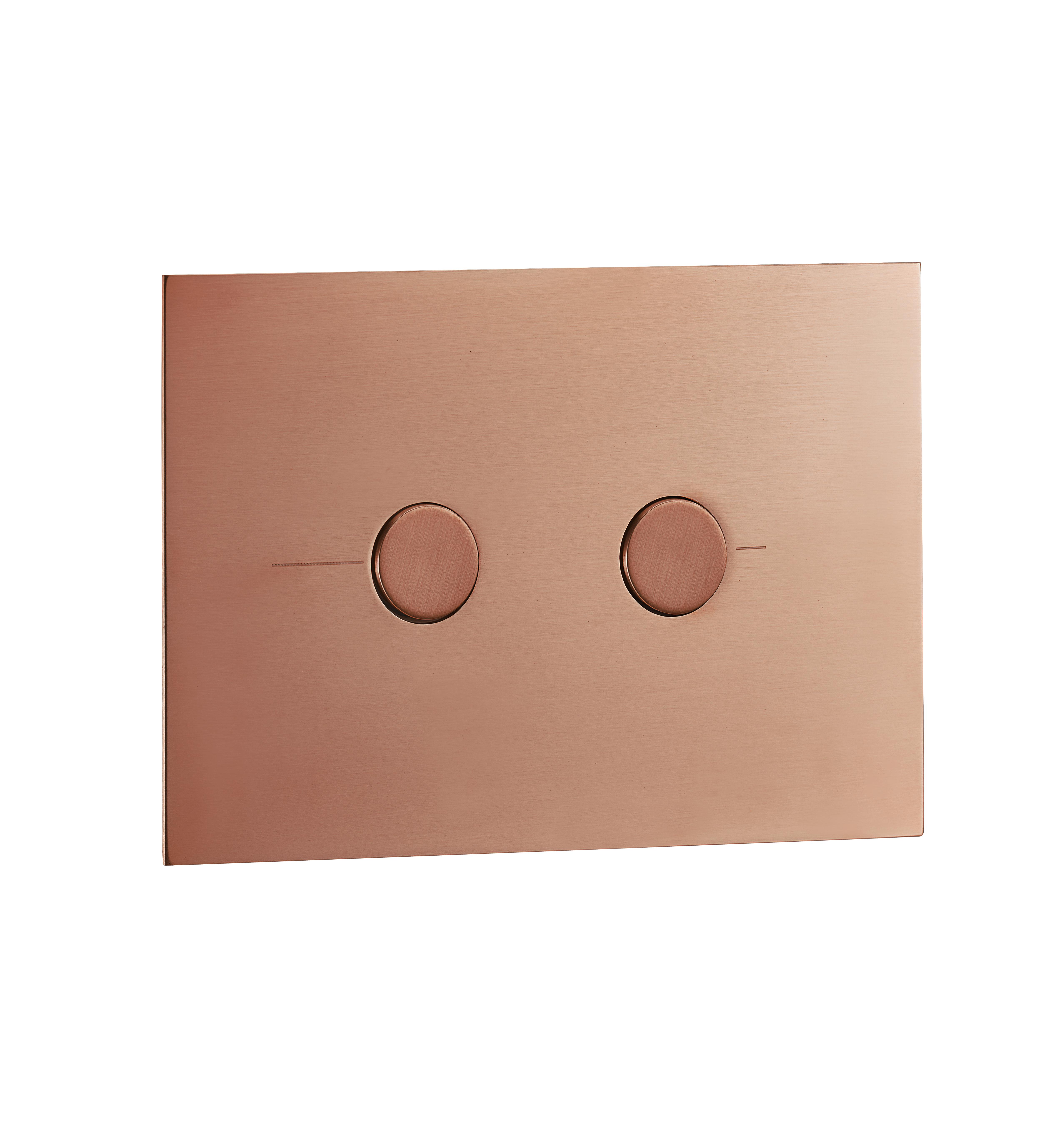 Клавиша смыва пневматическая Benesque 84010106 бронза брашированная