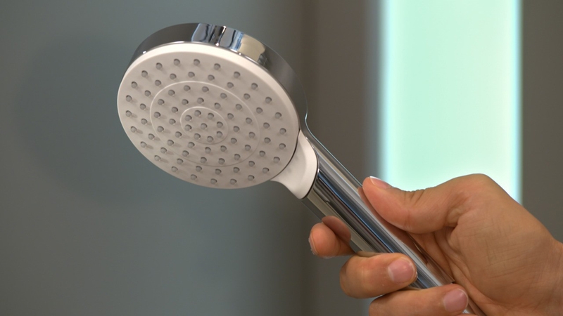 Ручной душ Hansgrohe Crometta 26331400 Хром Белый