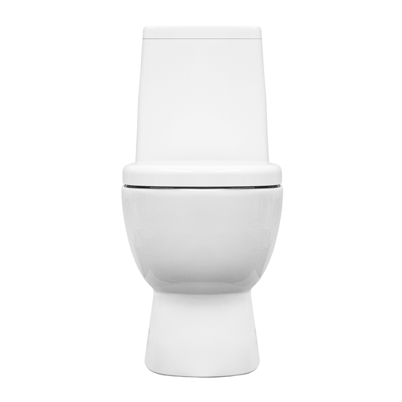 Унитаз-компакт Sanita Luxe Infinity DM INFSLCC01040522 с бачком и сиденьем микролифт