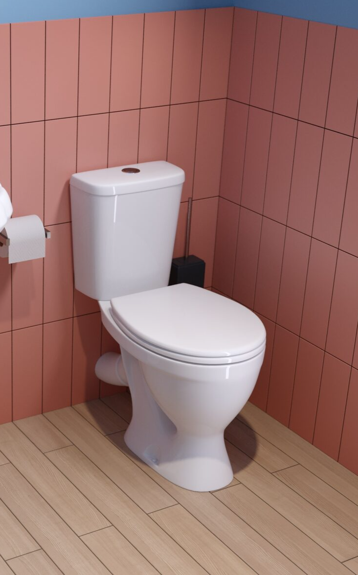 Унитаз-компакт Sanita Формат комфорт FRTSACC01030713 с бачком и сиденьем микролифт