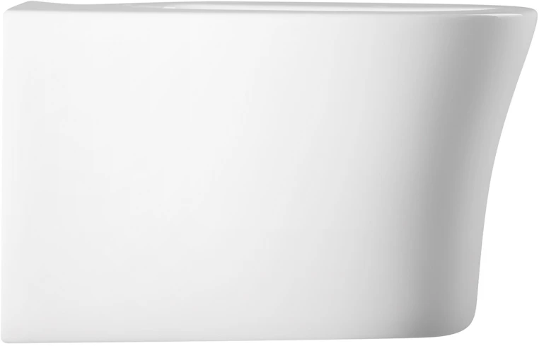 Биде подвесное Aquatek Ника AQ1009-00 белый