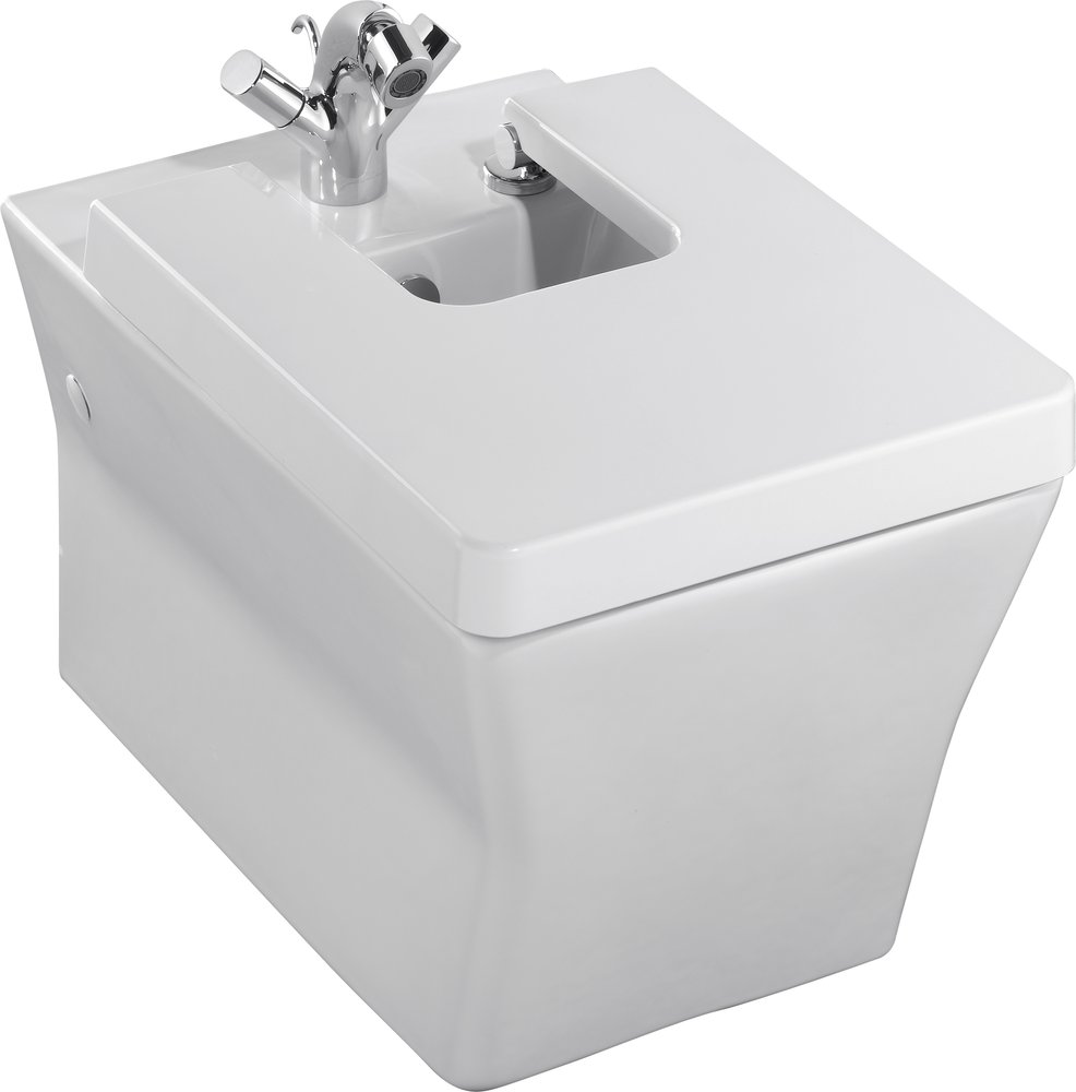 Биде подвесное Jacob Delafon Reve E4812