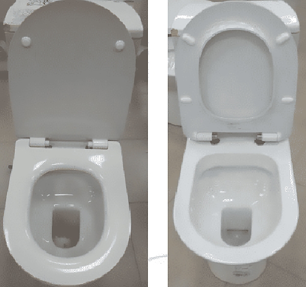 Чаша унитаза-компакта Roca Leon 342649000 без бачка и сиденья