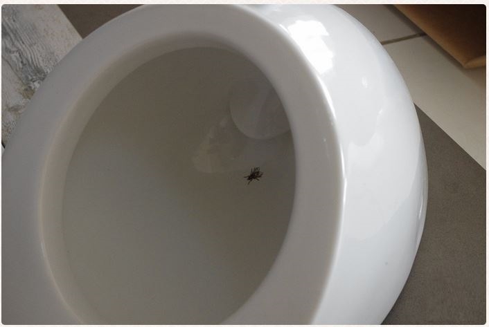 Писсуар подвесной Laufen Alessi 8.4097.5.400.000.1 белый, скрытый подвод воды