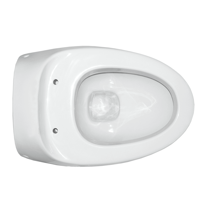 Унитаз Sanita Luxe Ringo RNGSLWH0104 белый с сиденьем микролифт