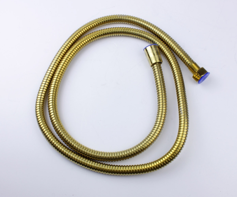 Гигиенический душ со смесителем Bronze de Luxe Element EL28GB, матовое золото/черный