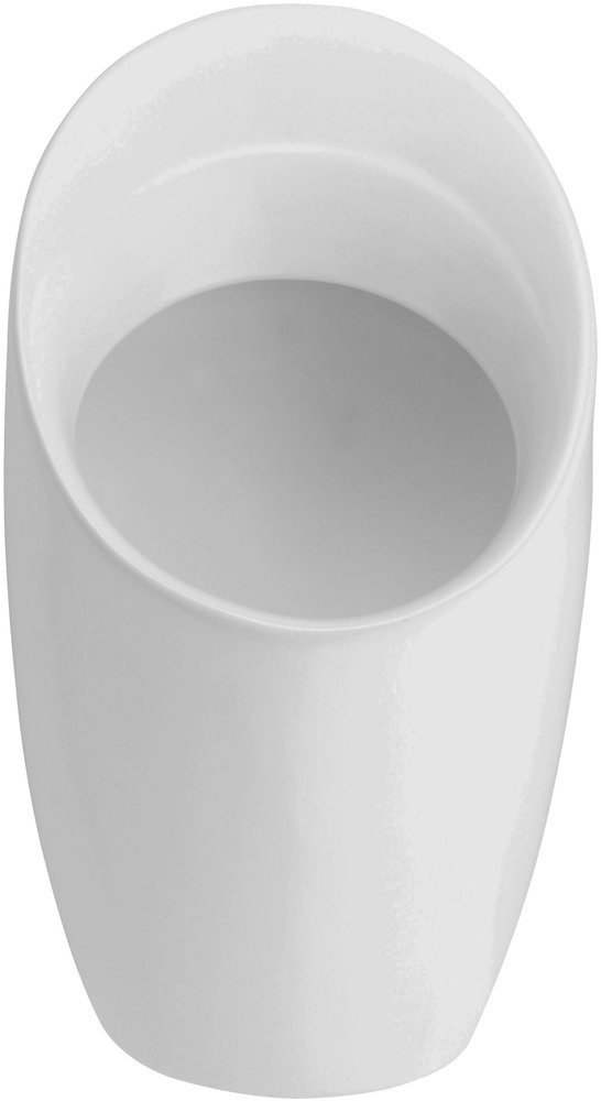 Писсуар подвесной Jacob Delafon Patio E1548-00 белый, скрытый подвод воды