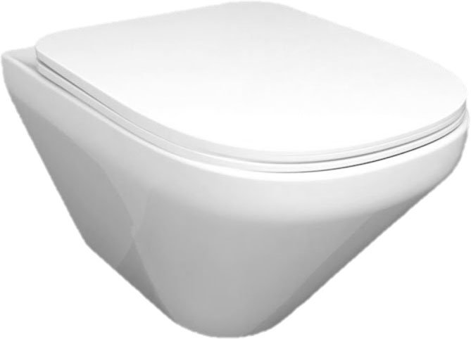 Унитаз Jacob Delafon Modern Life E77725-00 подвесной без сиденья