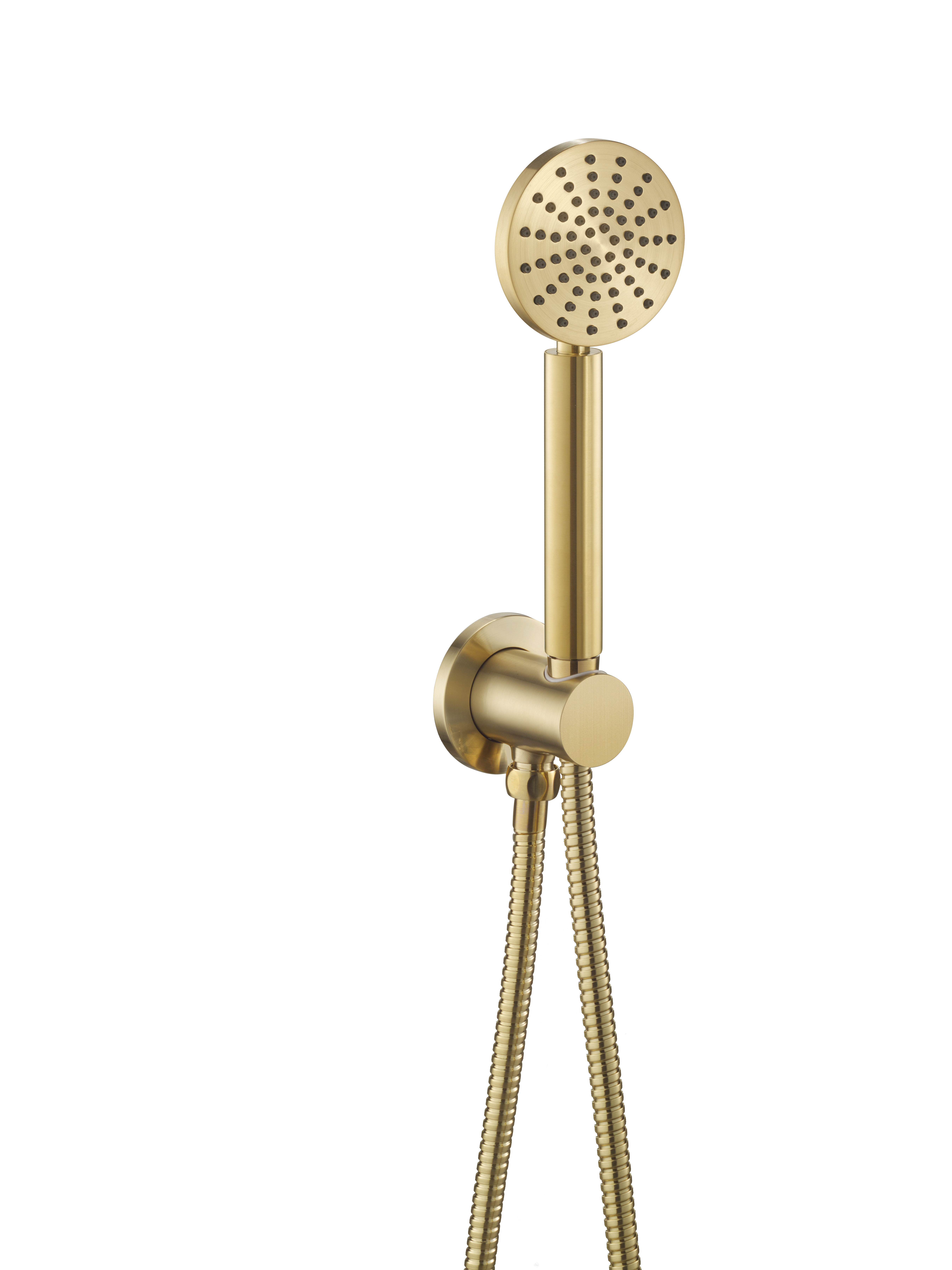 Душевой гарнитур на держателе с подключением шланга Benesque Lumiere 23010204 латунь брашированная