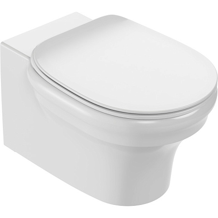 Унитаз подвесной безободковый Jacob Delafon Cleo EDZ102-0 без сиденья