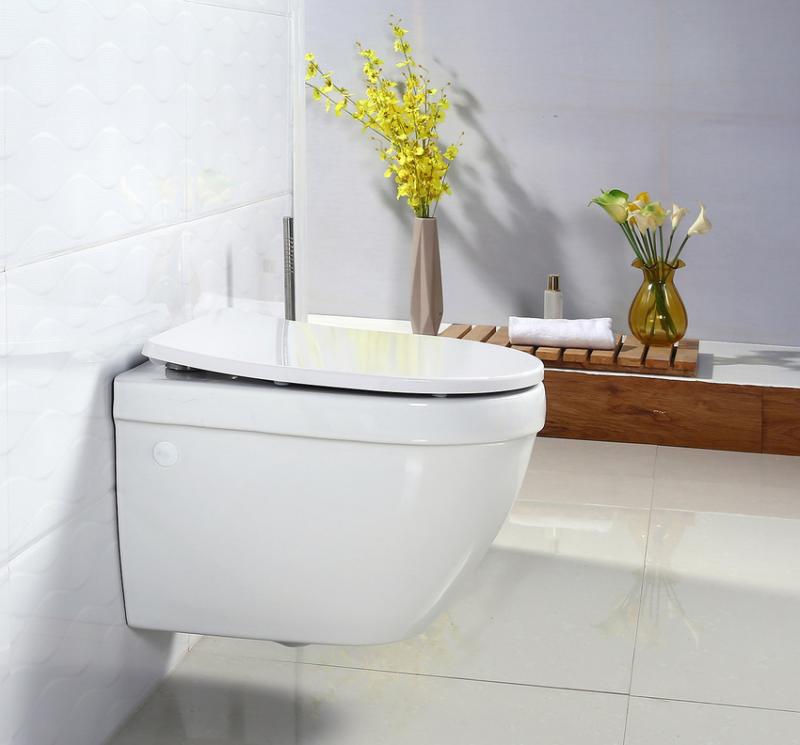 Унитаз BelBagno Cento-R BB509CH подвесной без сиденья