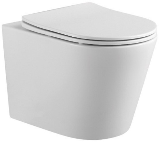 Унитаз подвесной Aquatek Вега AQ1904-00 с сиденьем Soft Close