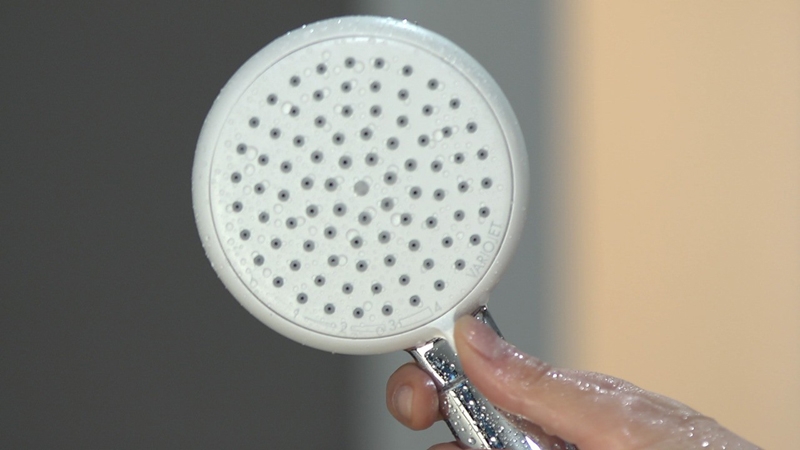 Ручной душ Hansgrohe Crometta 26824400 Хром Белый