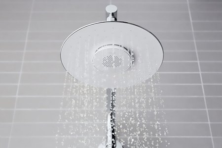 Верхний душ Jacob Delafon Moxie E99105-CP Хром