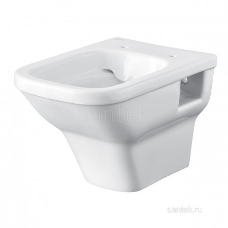 Чаша Santek Унитаз подвесной rimless Лайн 1WH501574