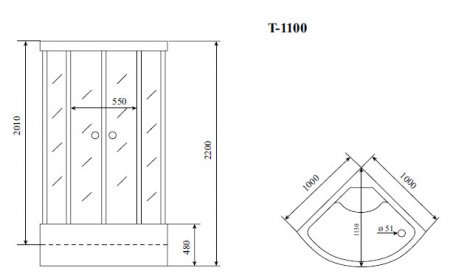 Душевая кабина Timo Standart T-1100 100x100x220 профиль хром матовый, стекло прозрачное