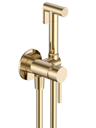 Гигиенический душ со смесителем AQUAme AQM6217BG золото матовое