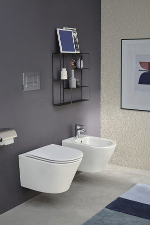 Кнопка смыва Jacob Delafon E20858-CP хром