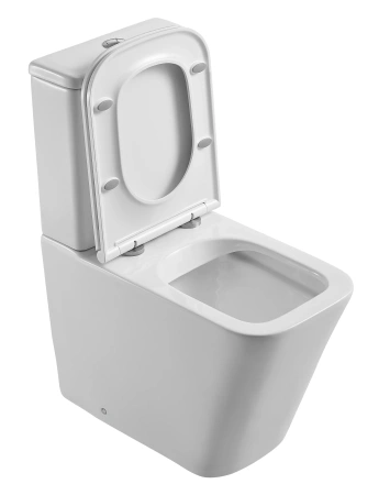Унитаз напольный D&K Berlin DT1437016 белый, с сиденьем микролифт