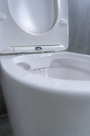 Унитаз напольный безободковый GID Tr2179 с сиденьем микролифт, белый