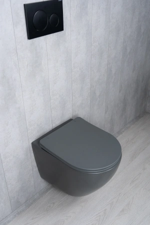 Унитаз подвесной безободковый GID Tr2122TF-Dgm темно-серый матовый, с сиденьем микролифт