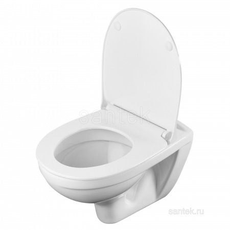 ПЭК Santek Бореаль Пэк 1WH501544 подвесная чаша + инсталляция + сиденье + панель хром