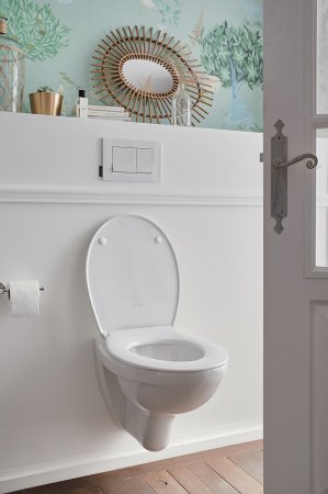 Кнопка смыва Jacob Delafon E20858-00 белый