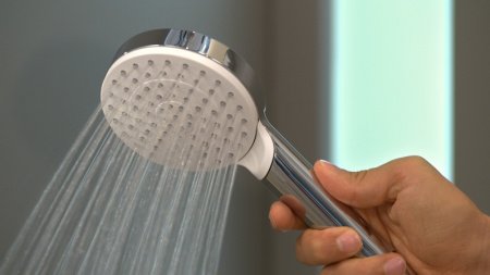 Ручной душ Hansgrohe Crometta 26331400 Хром Белый