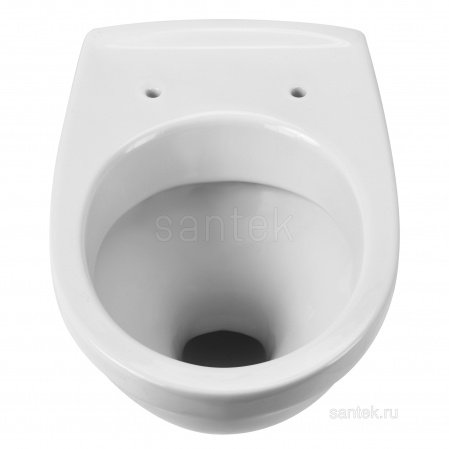 ПЭК Santek Бореаль Пэк 1WH302464 подвесная чаша + инсталляция +сиденье+панель бел. цвета
