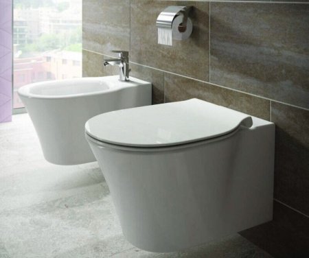 Крышка-сиденье Ideal Standard Connect E772401 с микролифтом, петли хром