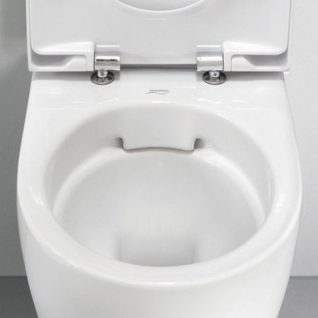 Унитаз подвесной безободковый Geberit Acanto 500.600.01.2 без сиденья