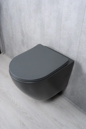 Унитаз подвесной безободковый GID Tr2122TF-Dgm темно-серый матовый, с сиденьем микролифт