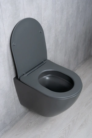 Унитаз подвесной безободковый GID Tr2122TF-Dgm темно-серый матовый, с сиденьем микролифт
