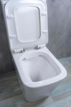Унитаз напольный безободковый GID Tr2170 с сиденьем микролифт, белый