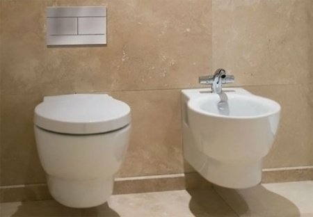 Унитаз Jacob Delafon Ove E1585-00 подвесной с сиденьем Микролифт