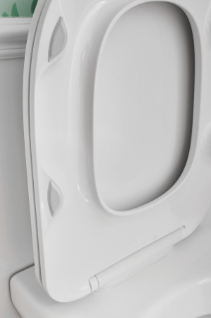 Унитаз Jacob Delafon Modern Life E77725-00 подвесной без сиденья