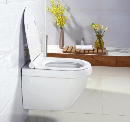 Унитаз BelBagno Cento-R BB509CH подвесной без сиденья