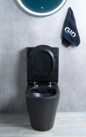 Унитаз напольный безободковый GID Tr2179BM с сиденьем микролифт, черный матовый
