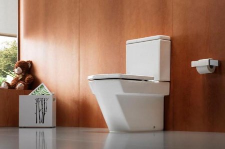 Чаша унитаза-компакта Roca Hall 342628000 без бачка и сиденья