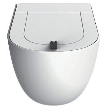 Унитаз подвесной ArtCeram The One THV001 05;00 белый матовый, без сиденья