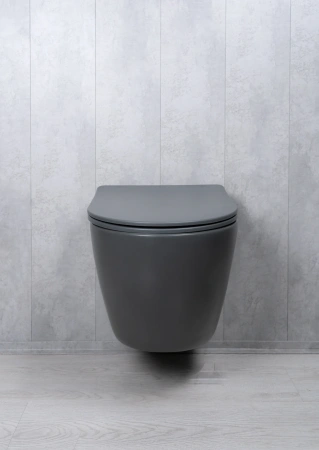 Унитаз подвесной безободковый GID Tr2122TF-Dgm темно-серый матовый, с сиденьем микролифт