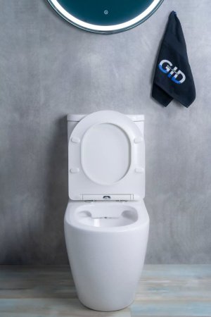Унитаз напольный безободковый GID Tr2177 с сиденьем микролифт, белый