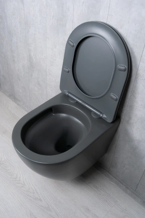 Унитаз подвесной безободковый GID Tr2122TF-Dgm темно-серый матовый, с сиденьем микролифт