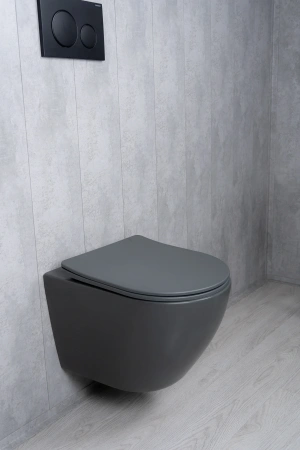 Унитаз подвесной безободковый GID Tr2122TF-Dgm темно-серый матовый, с сиденьем микролифт