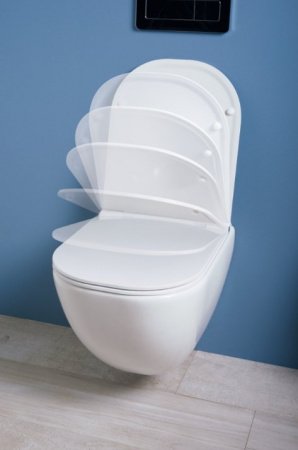 Унитаз подвесной Laufen Basal 8.66E1.0.000.000.1 белый, с сиденьем микролифт