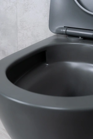 Унитаз подвесной безободковый GID Tr2122TF-Dgm темно-серый матовый, с сиденьем микролифт