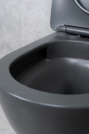 Унитаз подвесной безободковый GID Tr2122TF-Dgm темно-серый матовый, с сиденьем микролифт