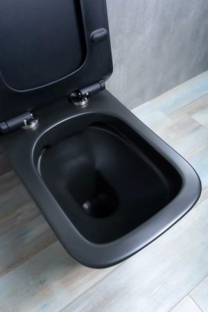 Унитаз напольный безободковый GID Tr2170BM с сиденьем микролифт, черный матовый