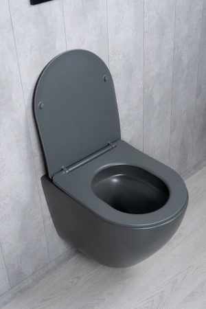 Унитаз подвесной безободковый GID Tr2122TF-Dgm темно-серый матовый, с сиденьем микролифт